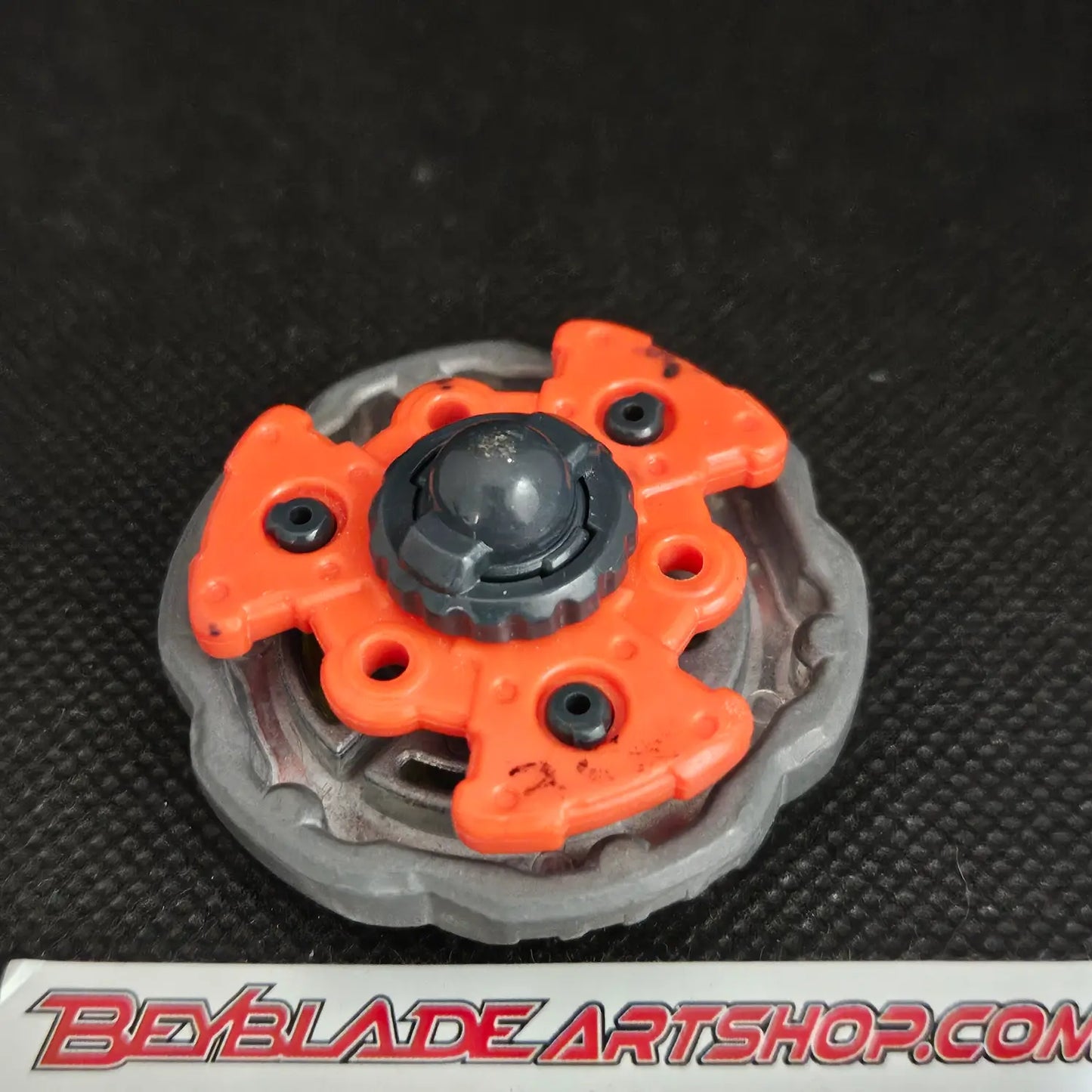 Rock Giraffe / Zurafa R145WB (c)